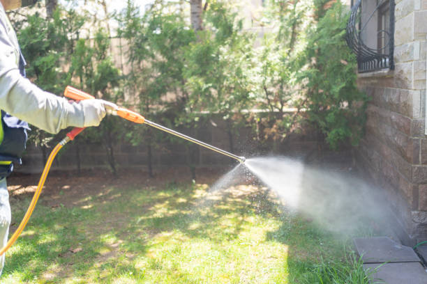 Best Cockroach Control  in Yermo, CA